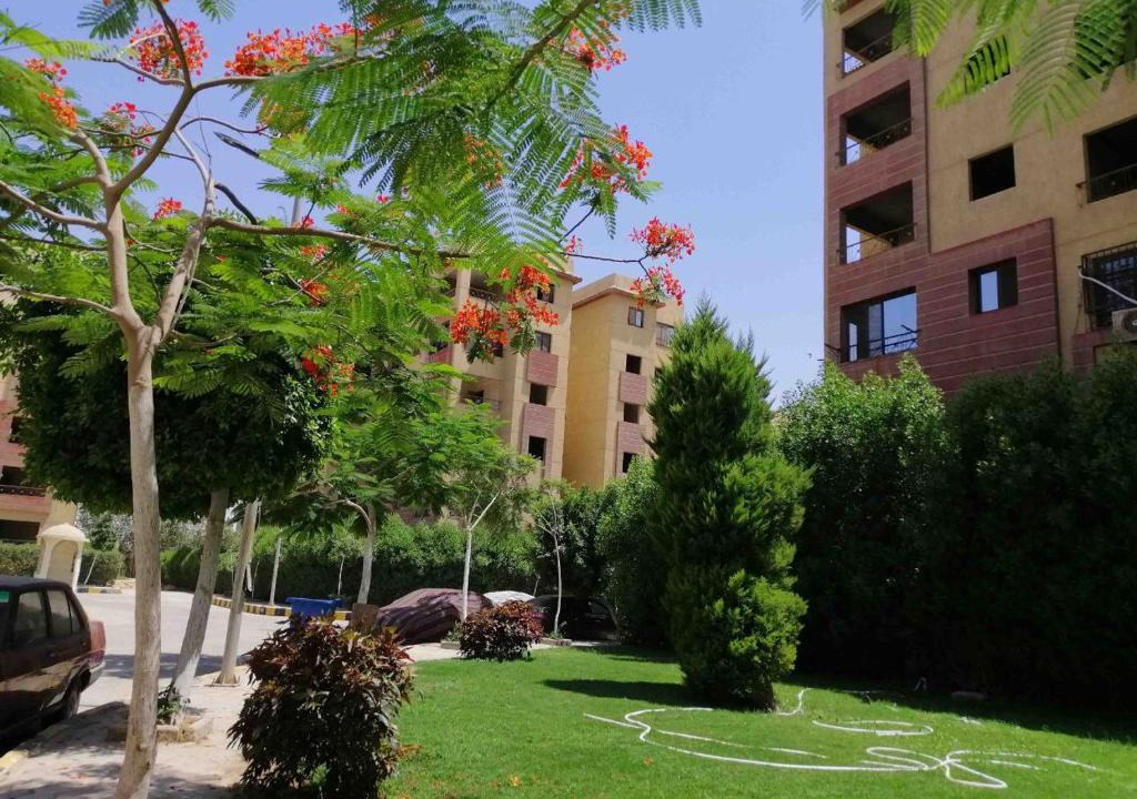 Dream Land Apartment | الحج سيد البدري