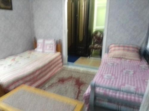 Bab Sharqi Hostel | 35 كامب شيزار ادفو استديوغرفةبحمام خاص ومطبخ صغير