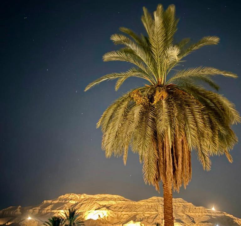 Luxor Hotel | Al-Sultan Hotel
