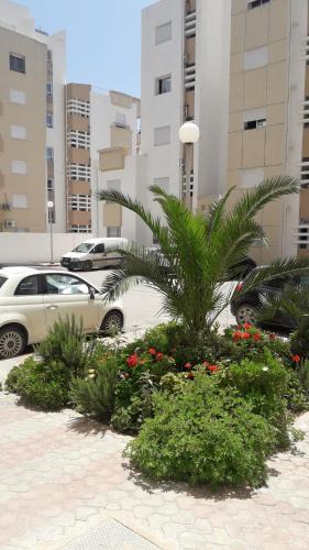 Cite El Wafa Apartment | Appartement superbe à Hammamet