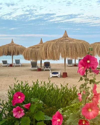 Al Mamsha El Seyahi Hotel | Avenue Alhambra princess resort