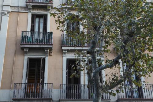 L'Antiga Esquerra de l'Eixample Apartment | Barcelona Eixample