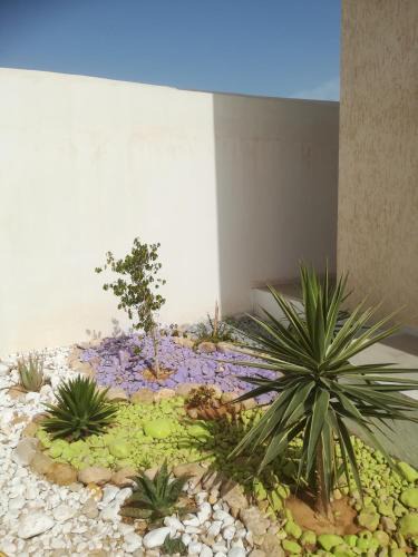 Houmt Souk Villa | Belle Villa Proche Marina