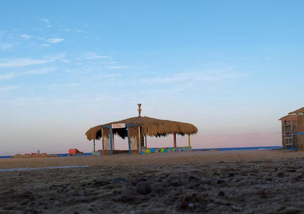 Wasit Other | Blue Beach Camp Nuweiba