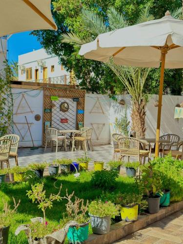 Dahab Hotel | camp caesar