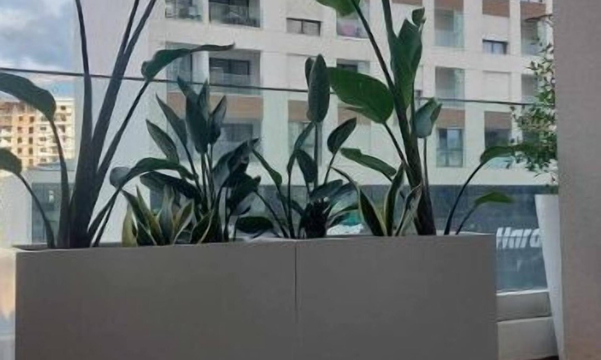 La Fayette Apartment | Cosy Appart Avec Balcon et Place Parking Privé