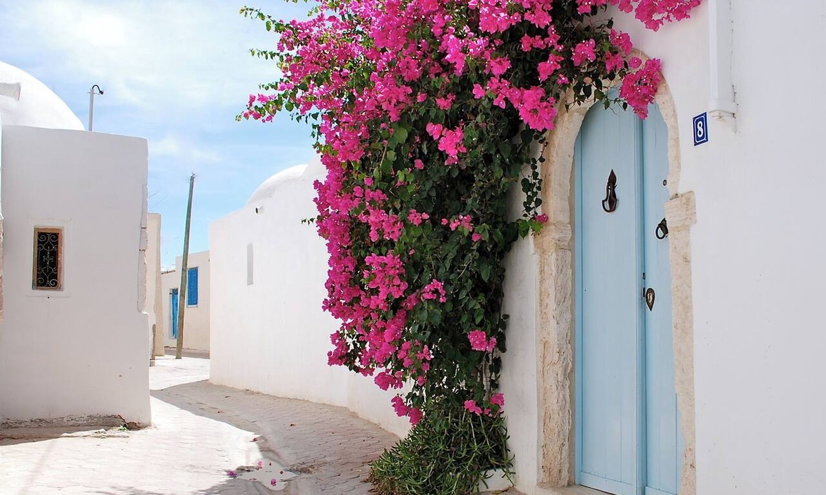 Erriadh House | DAR AZIZA - Holiday heritage home with private pool in Erriadh, sleeps 3