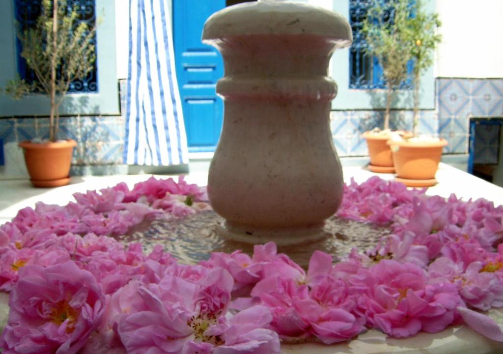 Medina de Sousse House | Dar Baaziz