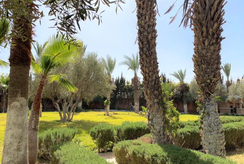 Menara House | Dar YAMNA