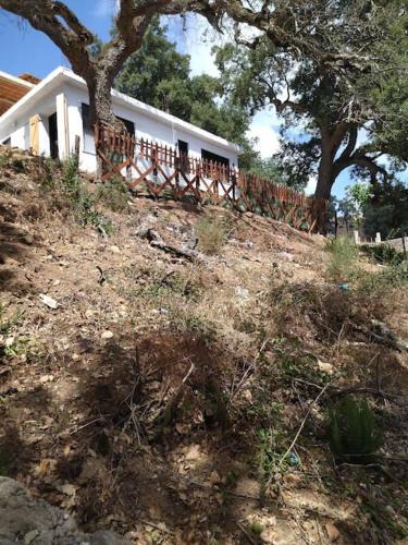 Ain Draham House | DarAlRayhan