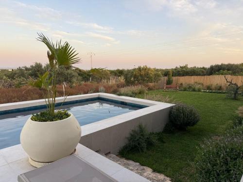 Nabeul Governorate Villa | Domaine El Noor Pool and Panoramic Olive Grove Views