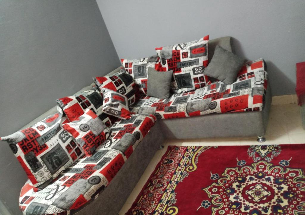 Aswan Apartment | Fekry home