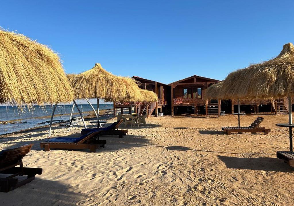 Nuweiba Other | Free Beach Camp