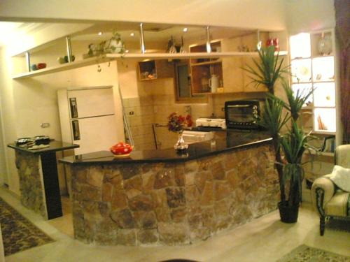 Agouza Apartment | Furnished Flat in Cairo zero one zero one zero six seven nine two four four
