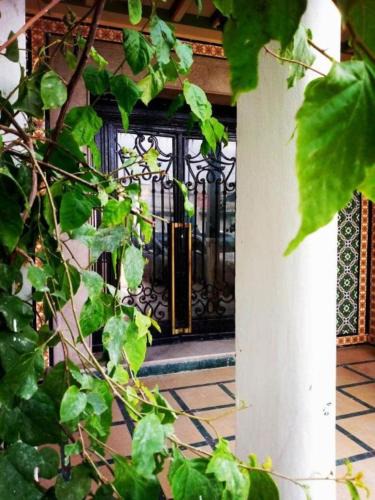 El Hafsia Hotel | Hôtel Ayachi