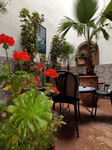 Medina Hotel | Hostel Hotel & Riad