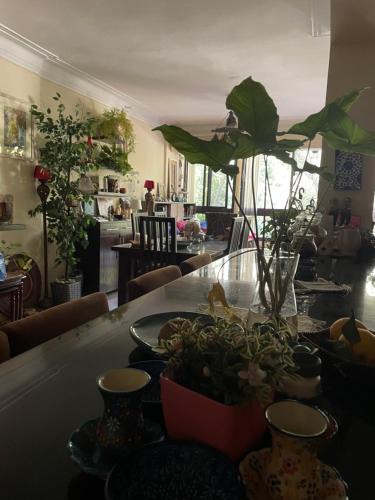 Taqseem Laselky Bed & Breakfast | House with Garden view - Female only
