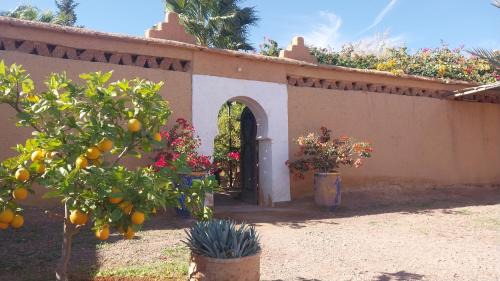Nekob Bed & Breakfast | Kasbah Auberge Bassou