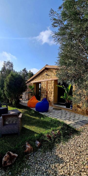 Bou Argoub House | Le Chalet Bouargoub