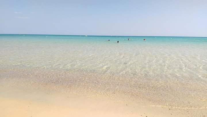 Cite El Wafa Apartment | Le lagon de Hammamet