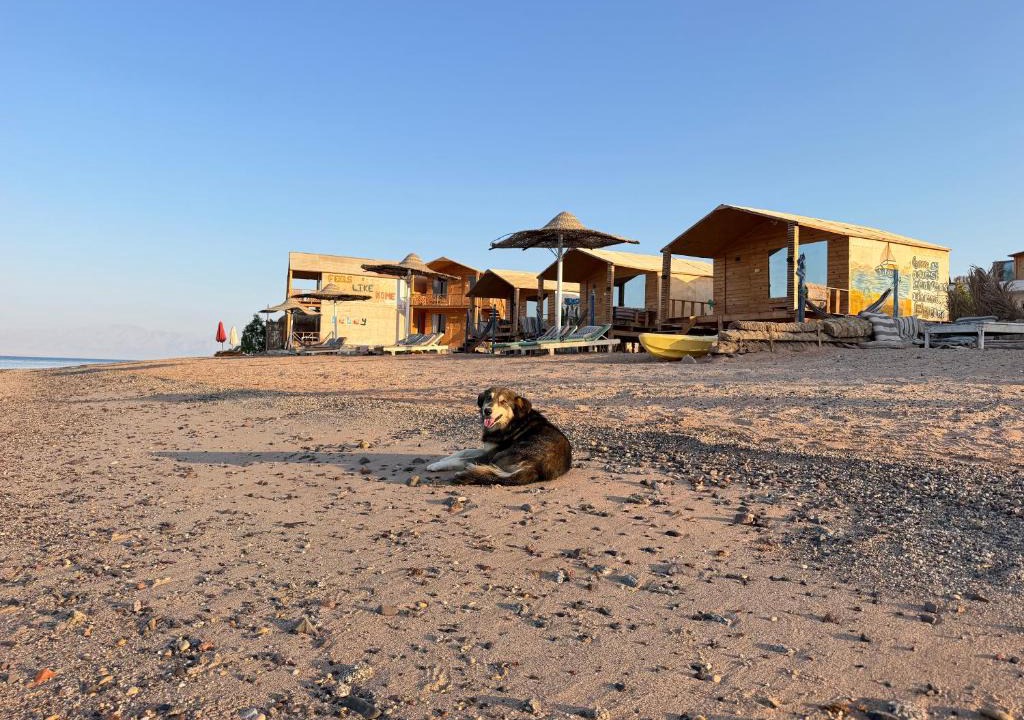 Nuweiba Other | Leley Camp