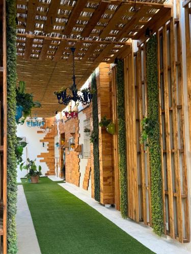 Sfax Apartment | les portes vieillies