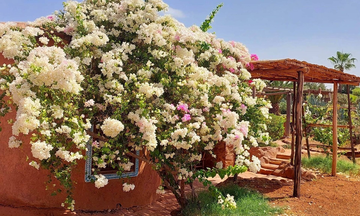 Ourika House | LISE