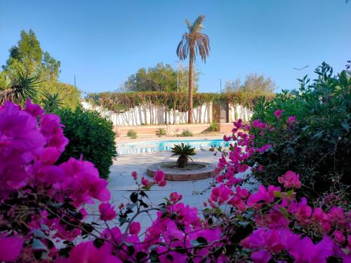 Al Mamsha El Seyahi Apartment | Lux Gardenhouse pool WiFi Private garden Hurghada