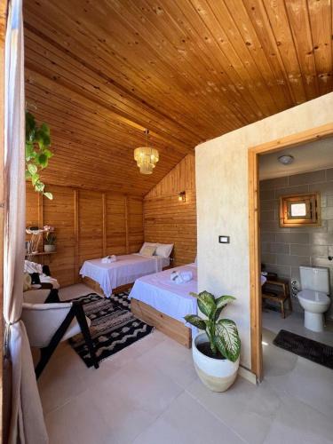 Siwa Hotel | Meddur Siwa Oasis