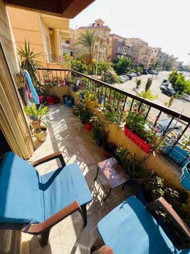New Cairo Apartment | New Cairo Shared Apartment with the landlord close to airport garden view for males only or married couple because of the Egyptian Culture