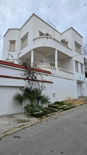 Tunis Hostel | Nomads Hostel Tunisia