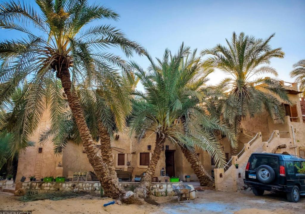 Siwa Apartment | Paloma Lodge