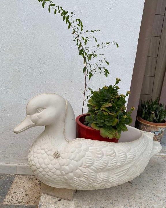 Hergla Apartment | Pieds dans l'eau : S+2, Hergla, Sousse