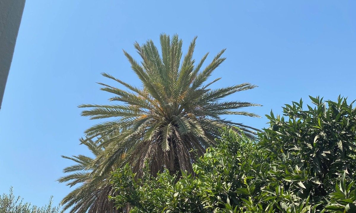 La Soukra House | Résidence Carmela