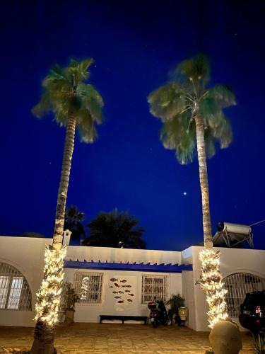 Playa Sidi Mehrez House | RESIDENCE DAR YASMINa