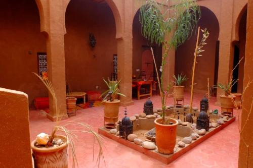 M'Hamid El Ghizlane Bed & Breakfast | Riad La Voix des Amazones