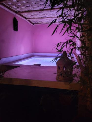 Sidi Bou Amar Villa | Riad privatisé bassin Marrakech