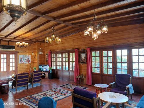 Maadi Apartment | Roof of Comfort & Calm in Maadi