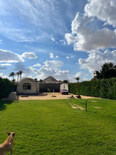 Abu Sir Hotel | Sahure Pyramid View Inn