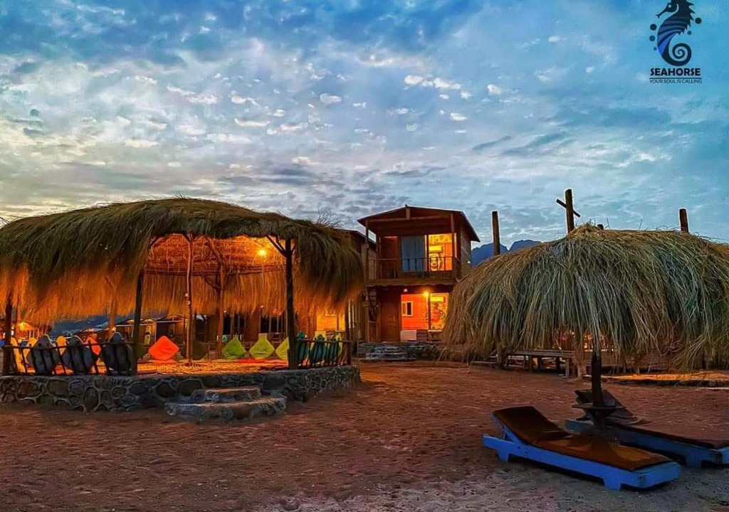 Nuweiba Other | sea horse