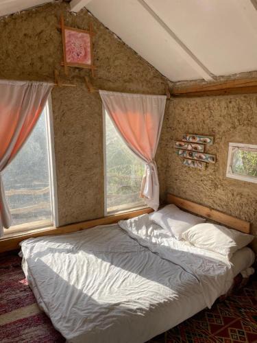 Siwa House | Shamofs art garden