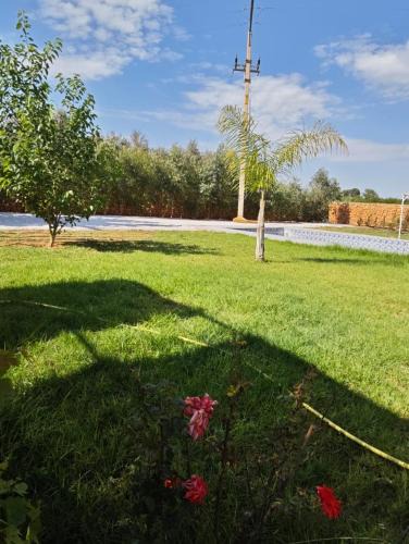 Bougriba Villa | Villa jasmine piscine sans vis à vis, BERKANE