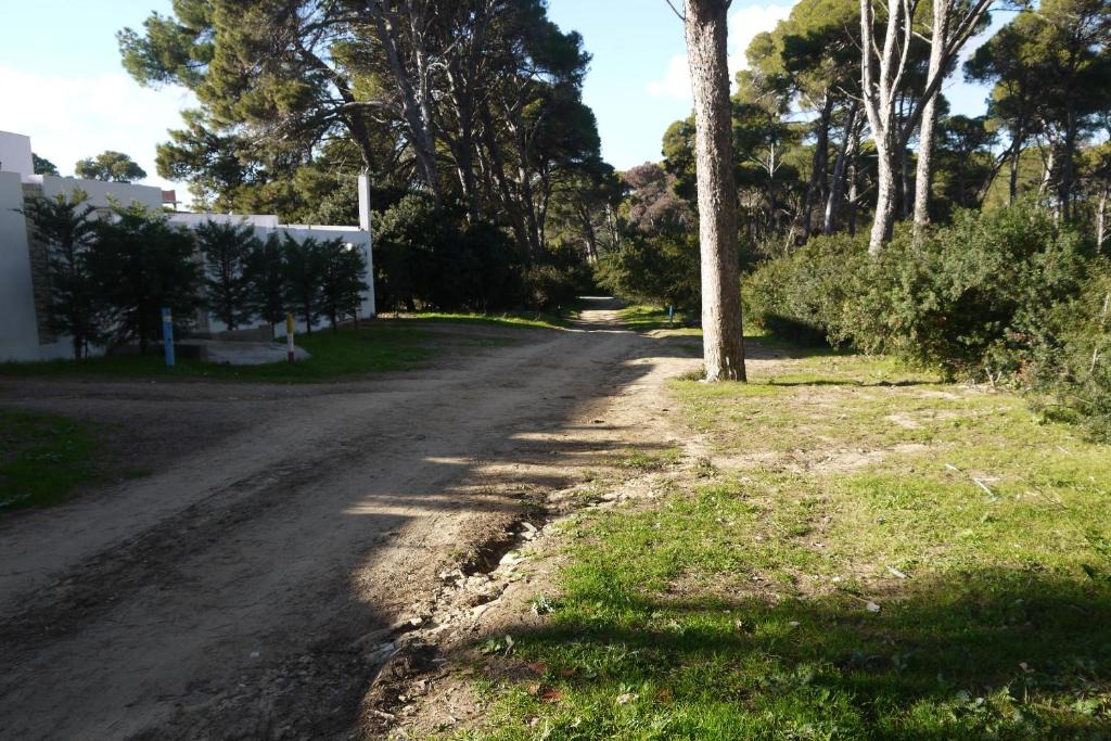 Bizerte Villa | Villa Lallazohra