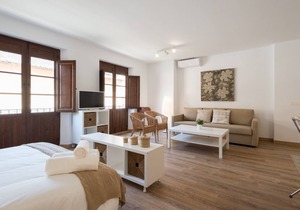 40 m² Studio flat ∙ 4 guests in Centro Histórico