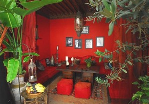 La Terrasse Des Oliviers