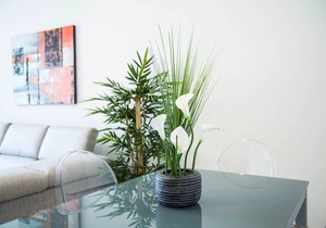 Résidence Malaga: Luxe et confort à La Marsa