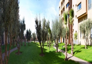 Studio Hotel - Senior 1