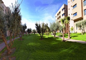 Studio Hotel - Senior 1