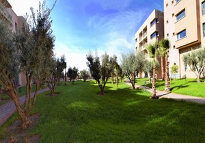 Studio Hotel - Senior 3