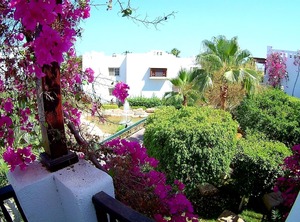 Delta Sharm | El Hadaba